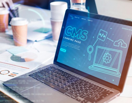 CMS Customization And Management